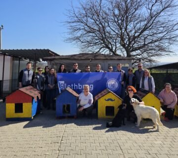 LOTHBROG GÖNÜLLÜLERİN’DEN PATİLİ DOSTLARA DESTEK