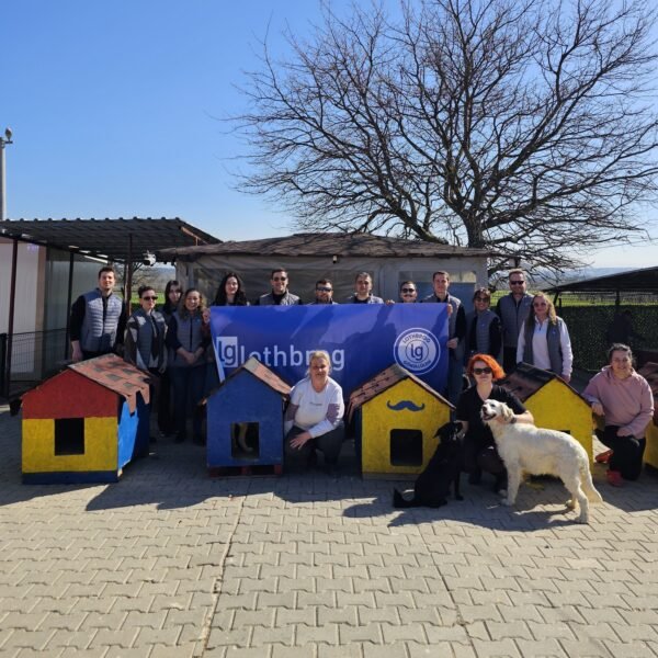 LOTHBROG GÖNÜLLÜLERİN’DEN PATİLİ DOSTLARA DESTEK