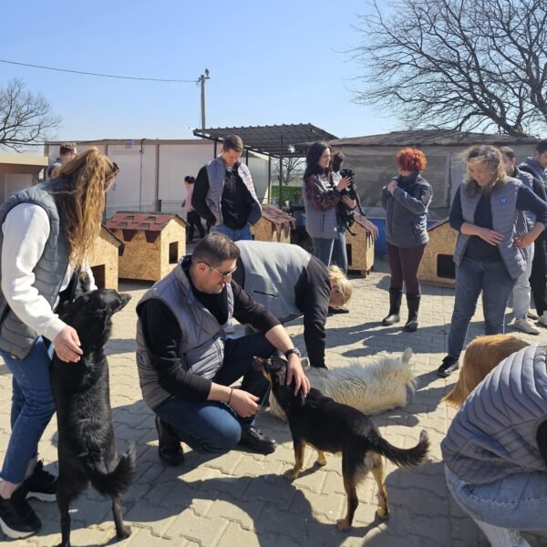LOTHBROG GÖNÜLLÜLERİN’DEN PATİLİ DOSTLARA DESTEK