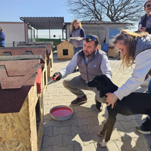 LOTHBROG GÖNÜLLÜLERİN’DEN PATİLİ DOSTLARA DESTEK