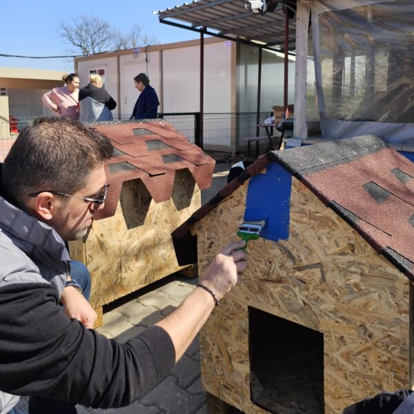 LOTHBROG GÖNÜLLÜLERİN’DEN PATİLİ DOSTLARA DESTEK