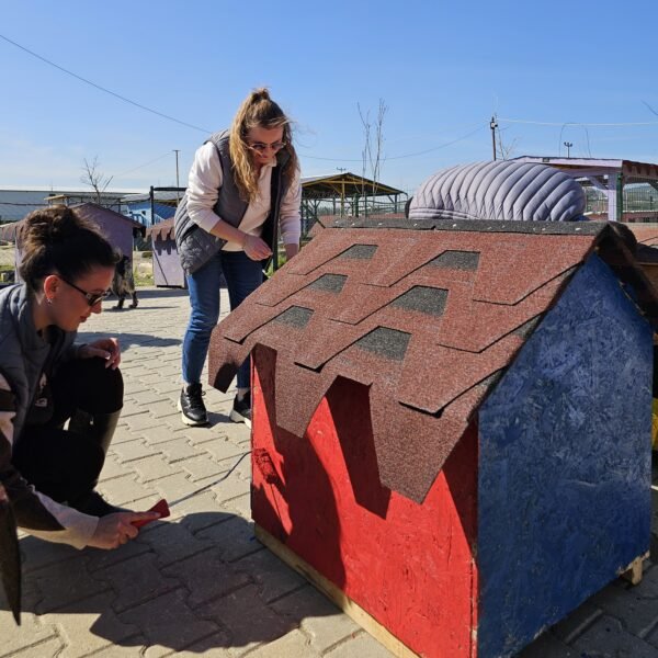 LOTHBROG GÖNÜLLÜLERİN’DEN PATİLİ DOSTLARA DESTEK